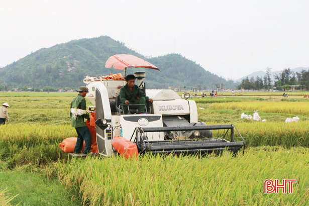 Hà Tĩnh định hướng phát triển kinh tế nông nghiệp giai đoạn 2021-2025 (19/02/2021)
